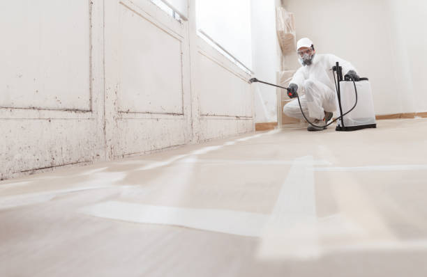 24/7 Emergency Bathroom Mold Removal experts in Franklin Park, IL