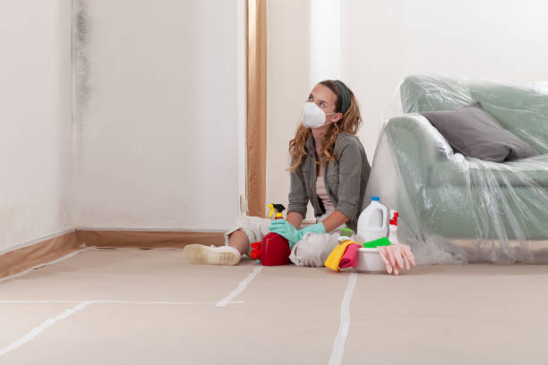 Reliable Bathroom Mold Removal contractor in Franklin Park, IL by Mold Remediation HQ